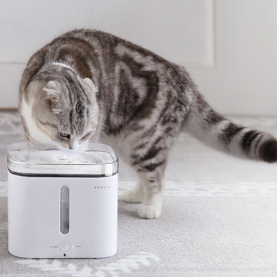 小佩petkit宠物智能饮水机猫咪自动循环喝水器狗狗喷泉喂水器用品