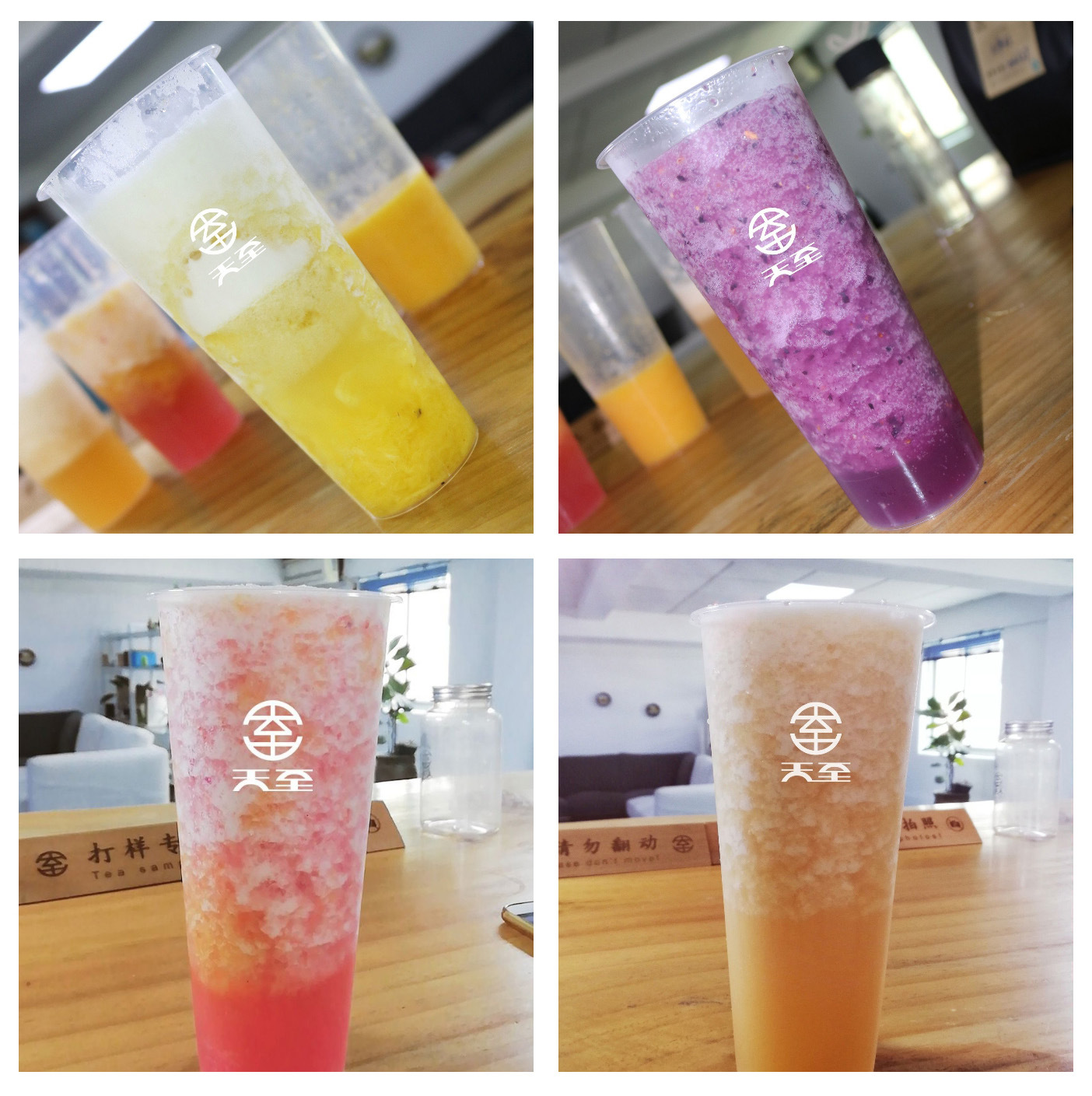 水果茶奶盖奶茶专用四季春青茶100g样品 茶饮连锁用茶叶原料