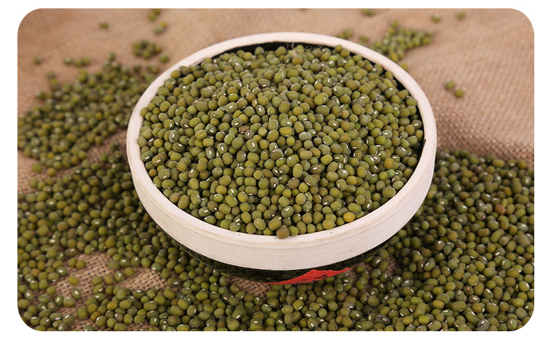 现货供应绿豆农家自产毛绿豆 五谷杂粮煮粥熬汤磨粉原料 粒大饱