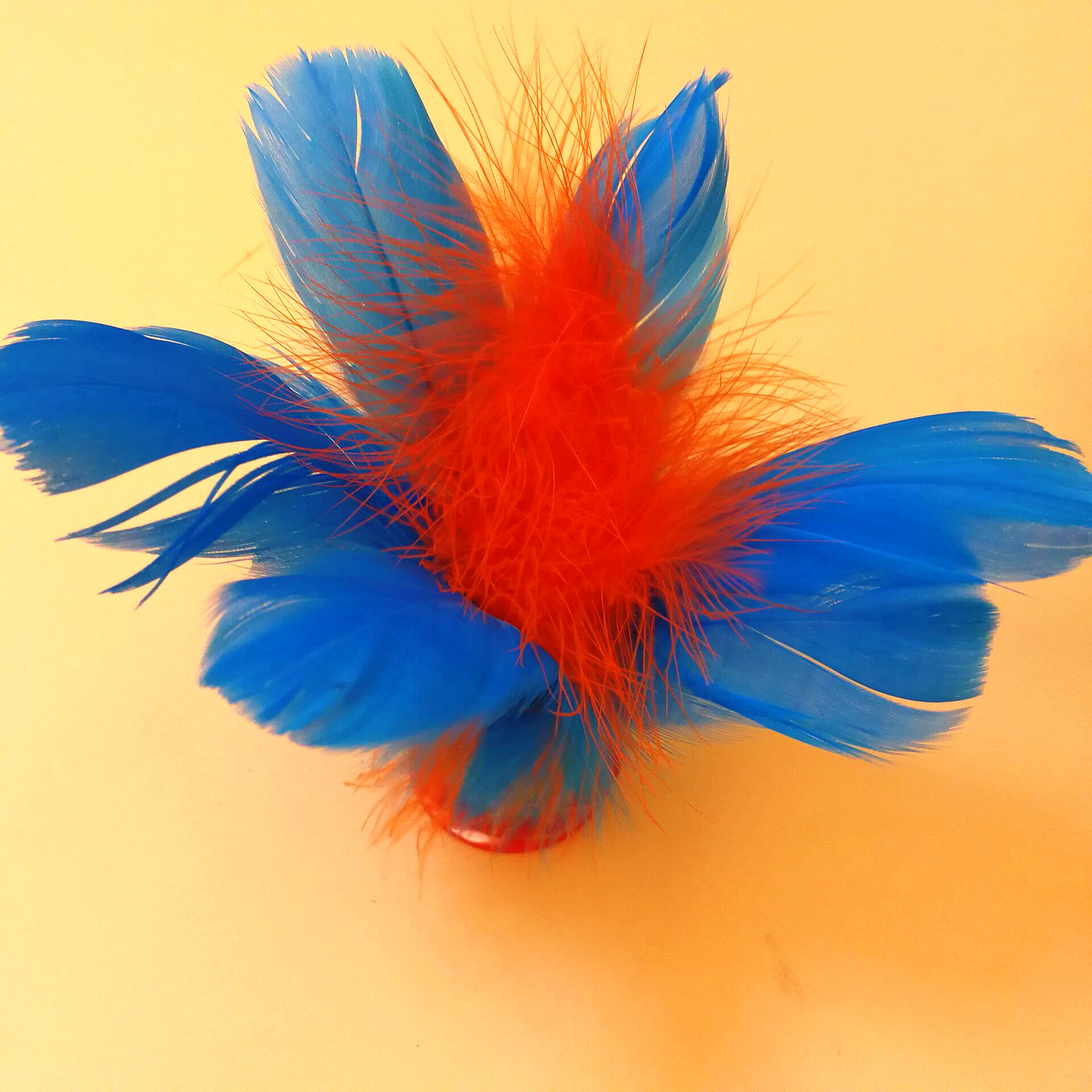 毽子小学生儿童幼儿园初学者鸡毛彩色键子比赛羽毛毽球花毽键子