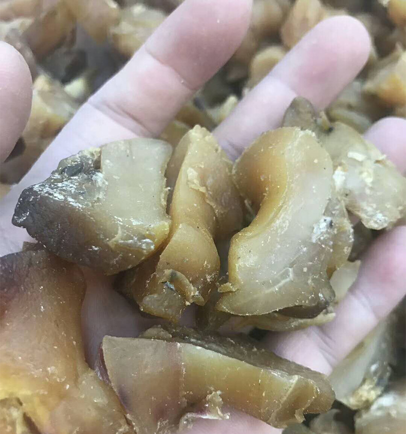 诚言海味干货批发 美国 红螺头 海螺头螺肉干货 酒店常用滋补品