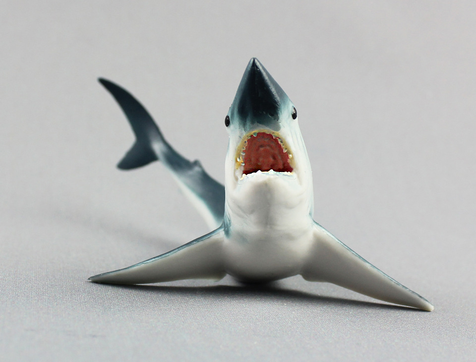 海洋生物模型灰鲭鲨儿童仿真静态鲨鱼塑胶实心动物玩具外贸货源