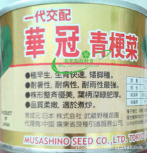 【华冠青梗菜种子】罐装青梗菜种子 早熟 耐寒热 100g 油菜种子
