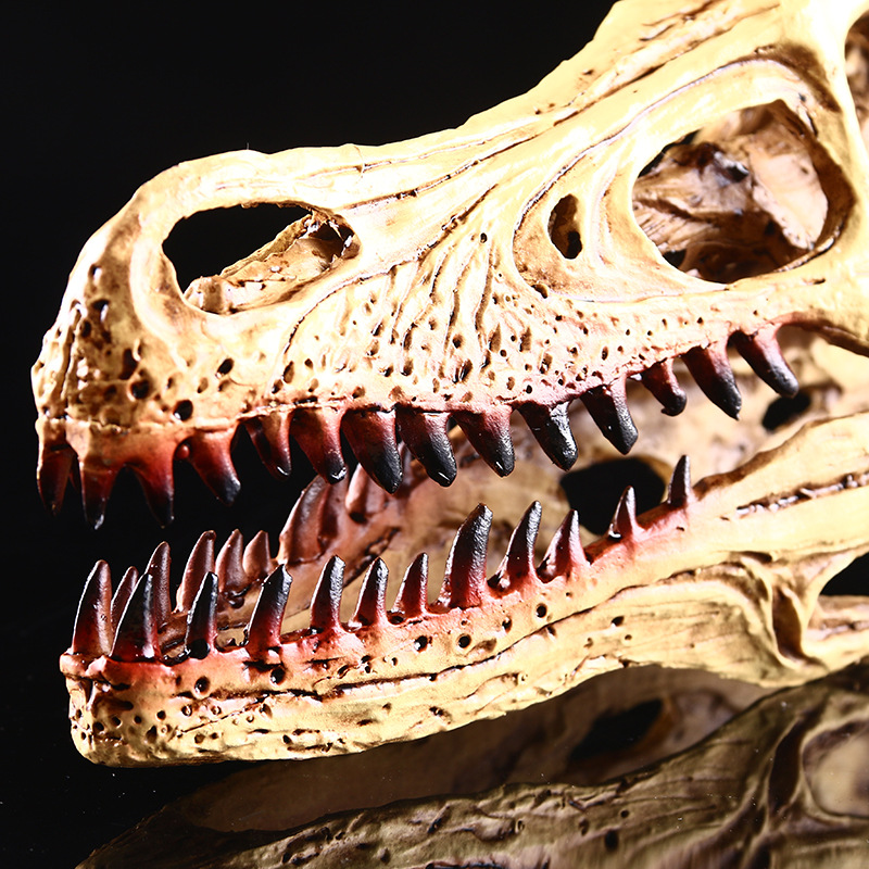 迅猛龙头骨 树脂工艺品 骷髅头 个性摆件 恐龙骨架 外贸供货 礼品