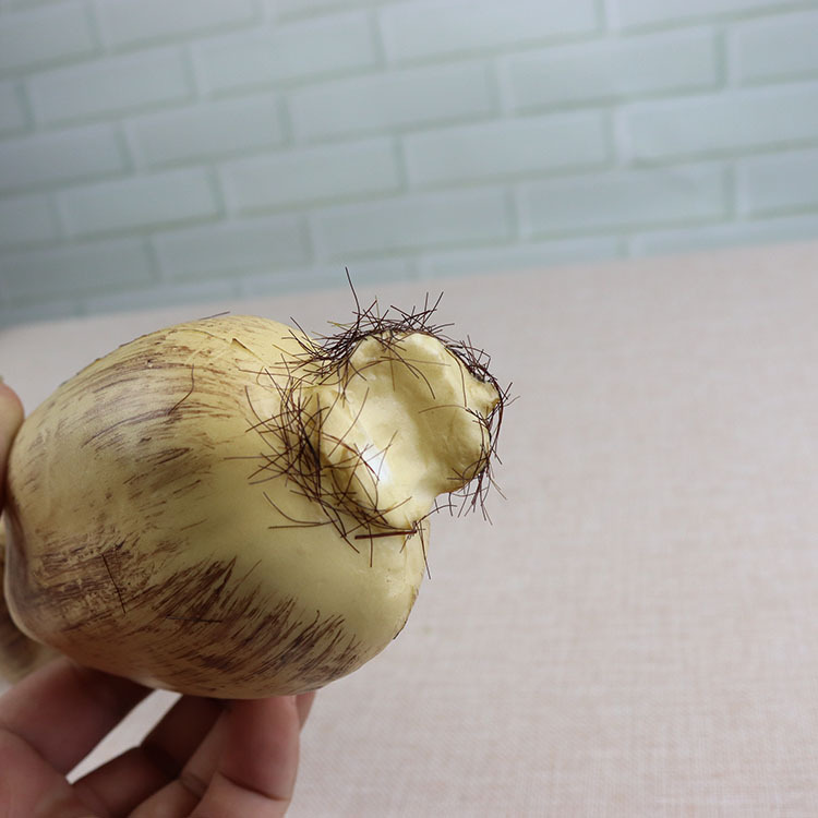 仿真藕 蔬菜 仿真莲藕 假莲藕装饰摆设道具莲藕超高仿真莲藕玩具