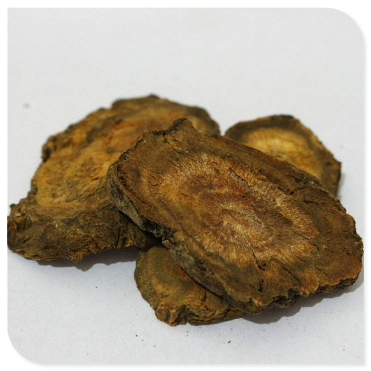 供应土大黄 金不换 血三七 羊蹄根散装 批发亳州中药材