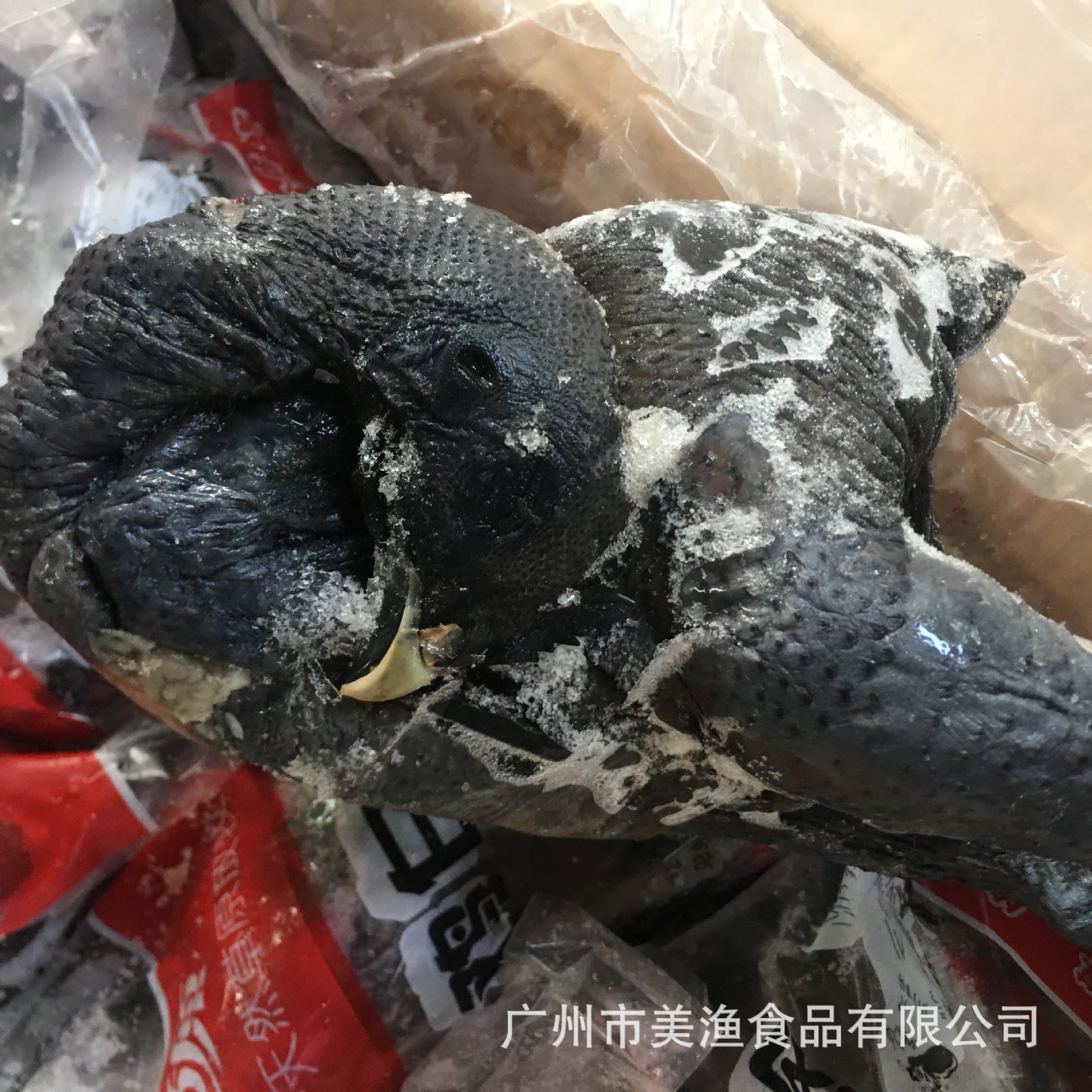 冷冻乌鸡 白条鸡 冷冻黑鸡白凤鸡竹丝鸡 乌鸡 整鸡6-11只 10kg/件