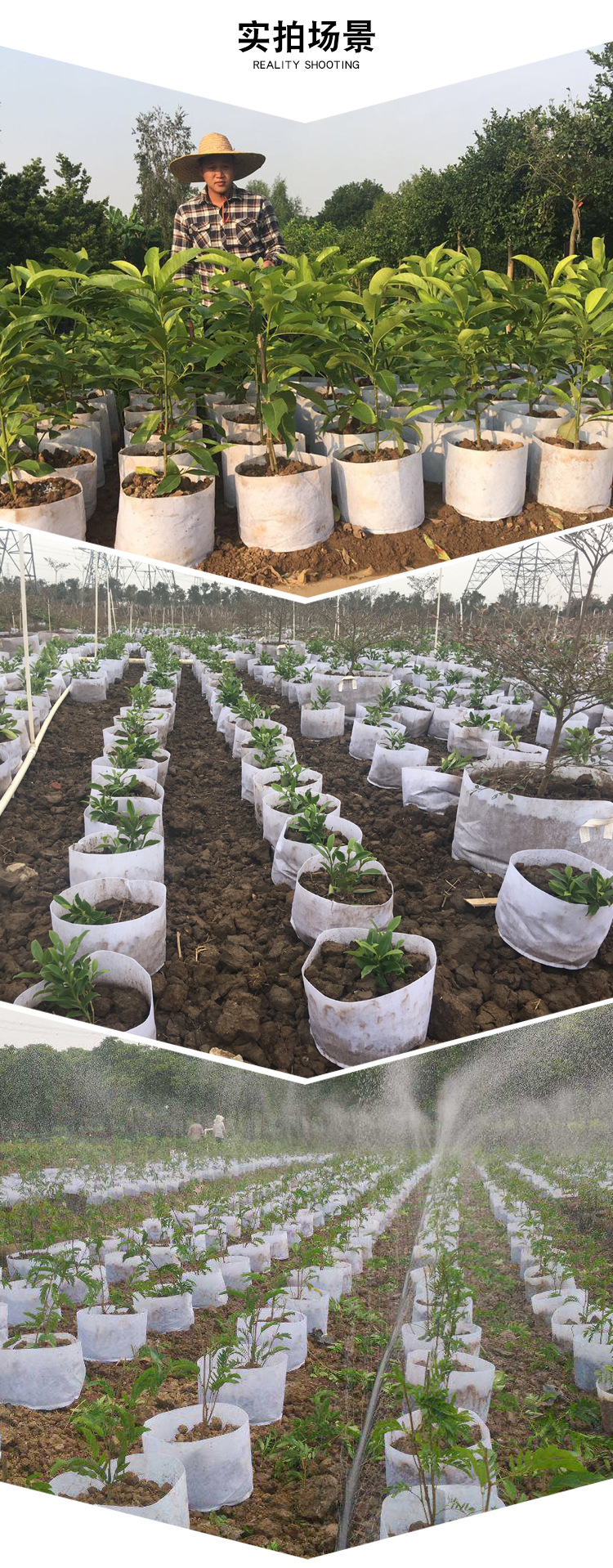 厂家直销加厚无纺布种植袋美植袋植树袋育苗袋营养钵花盆园林用品