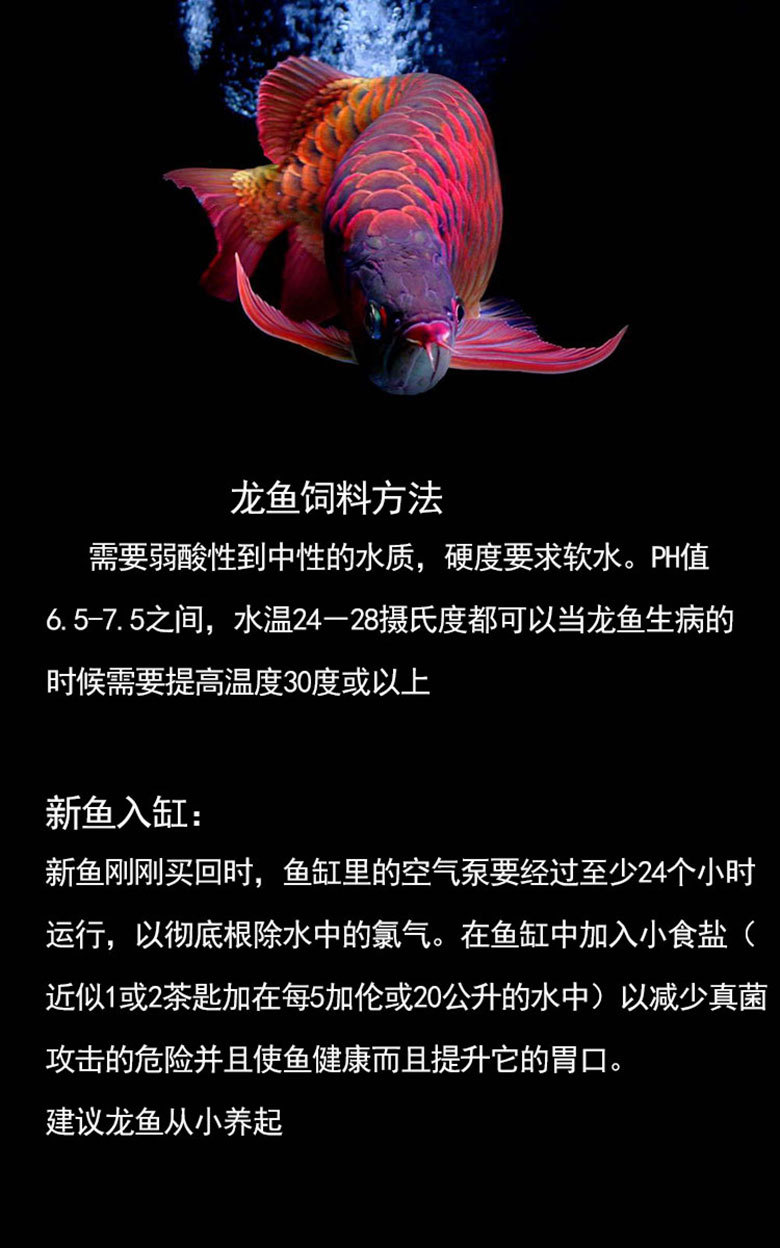 仟湖傲深龙鱼8号维他命0号箭虫虱虫鱼缸硝化菌战斗益菌黑水消化菌