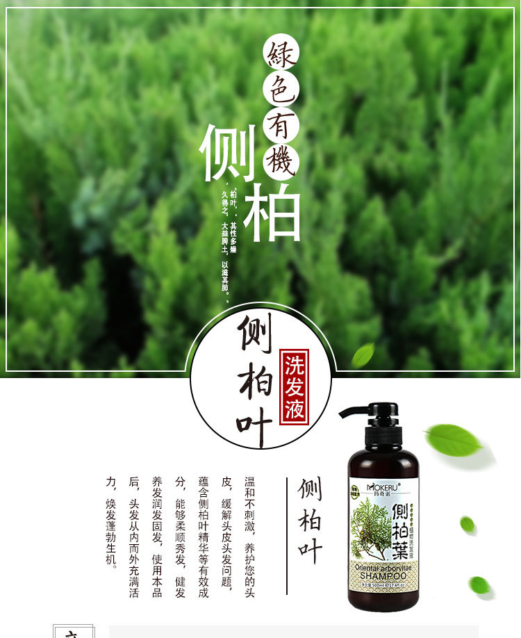 玛奇诺侧柏叶植物洗发水男女士液酸性止痒去屑养发护发防脱洗发露