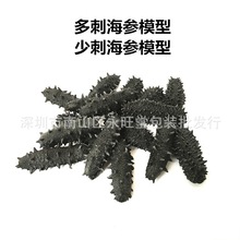 海参模型/干刺海参样品/虫草燕鲍翅仿真模型/工艺品模型展柜专用