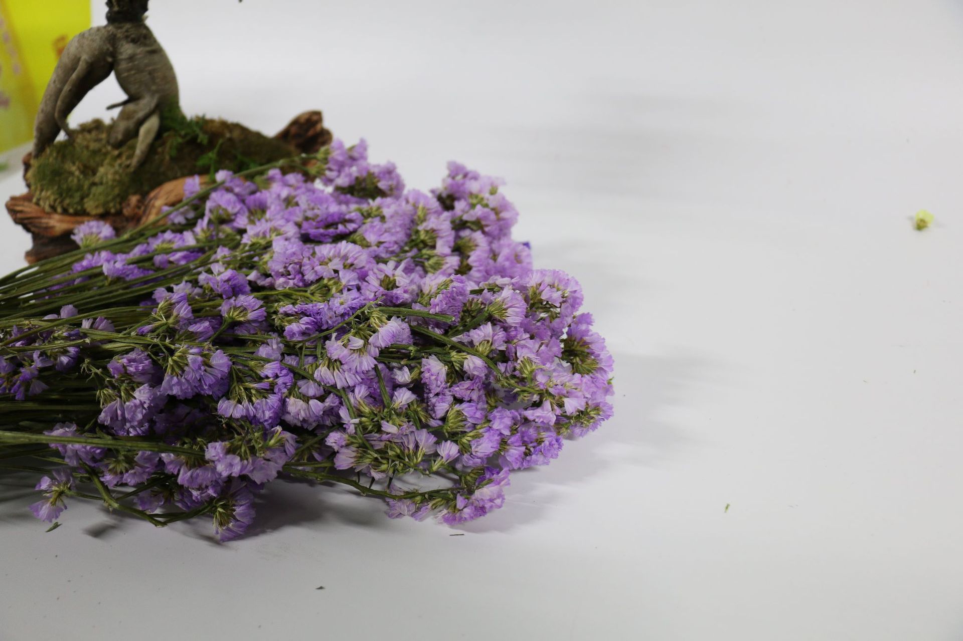 【勿忘我】厂家批发花艺辅材勿忘我干花干草客厅装饰素材干花花束