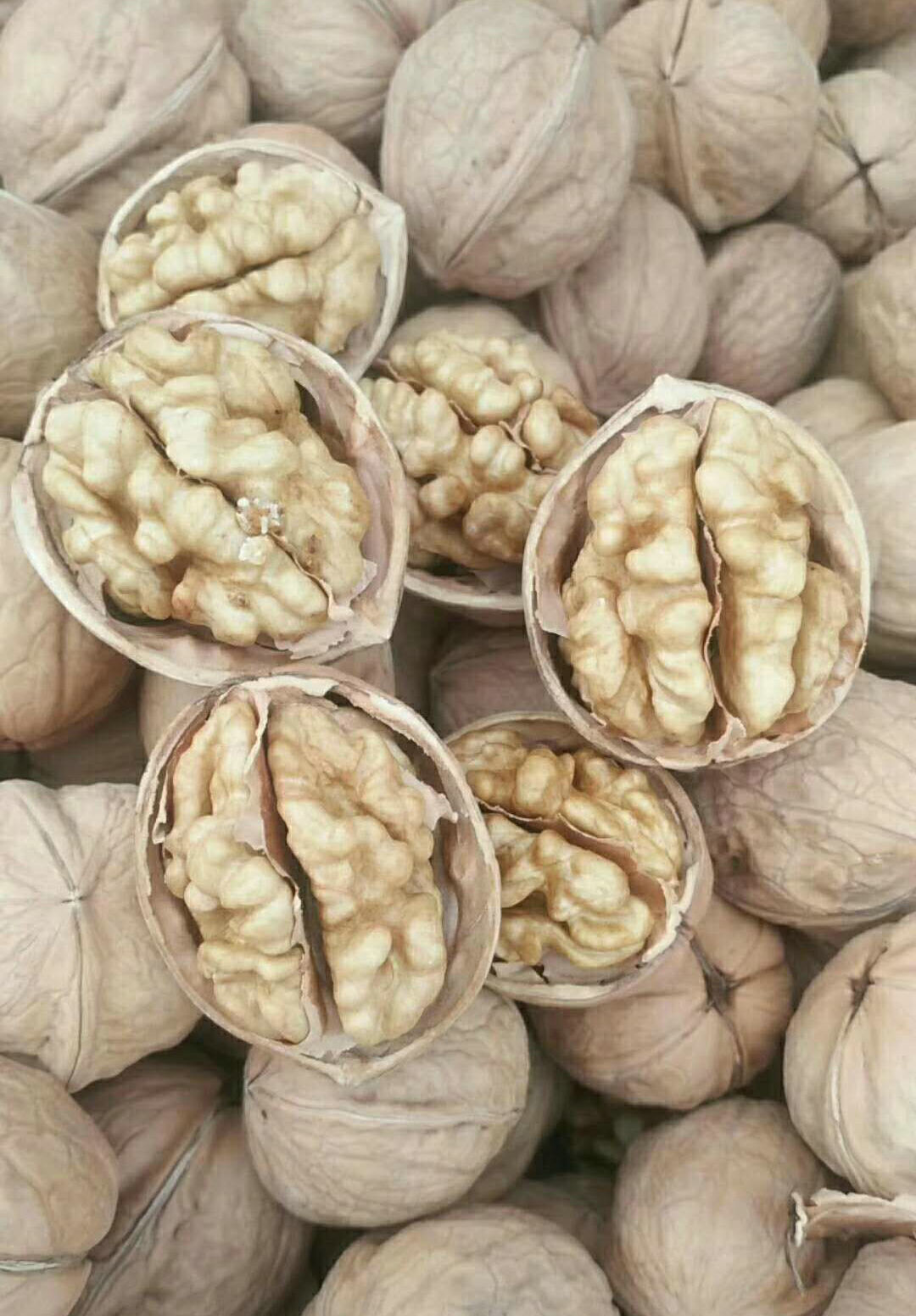 大为薄皮核桃185纸皮核桃纯天然核桃易剥薄皮新疆特产包邮无加工