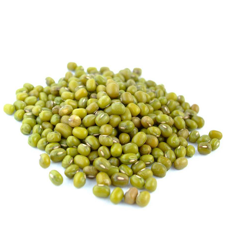 专业中药材批发 绿豆 绿豆粉 源头药材供应 量大优惠