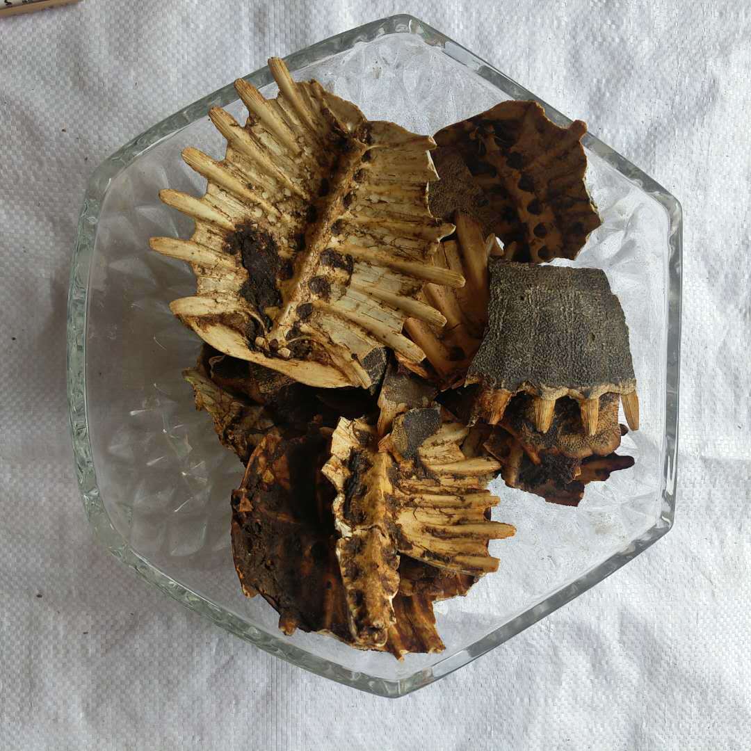 鳖甲【振兴药材】中药材批发零售【炙鳖甲】 山东统货 量大从优