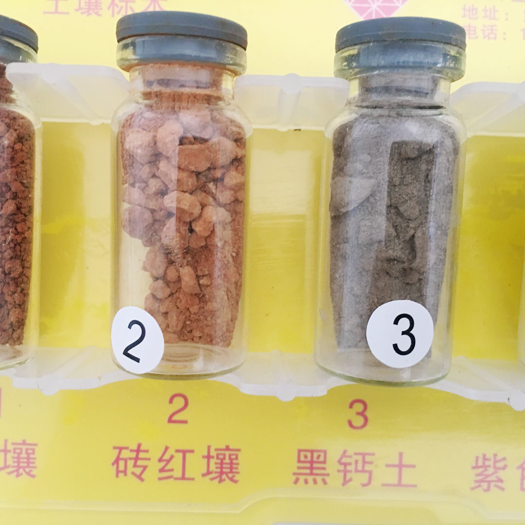 土壤标本 49008 初中生物/小学科学教学器材