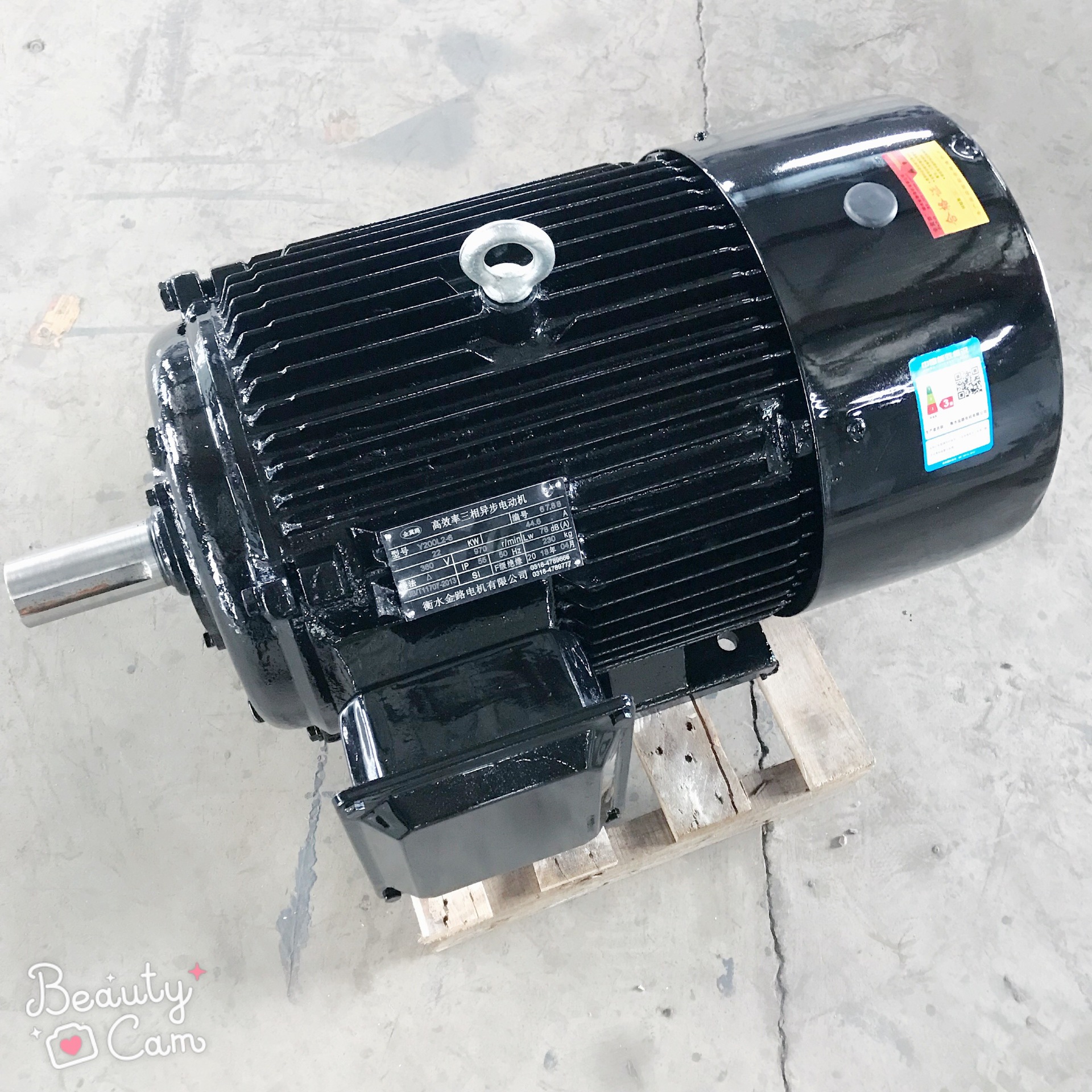 厂家供应三相异步电动机ye222kw6极国标机械设备用电机