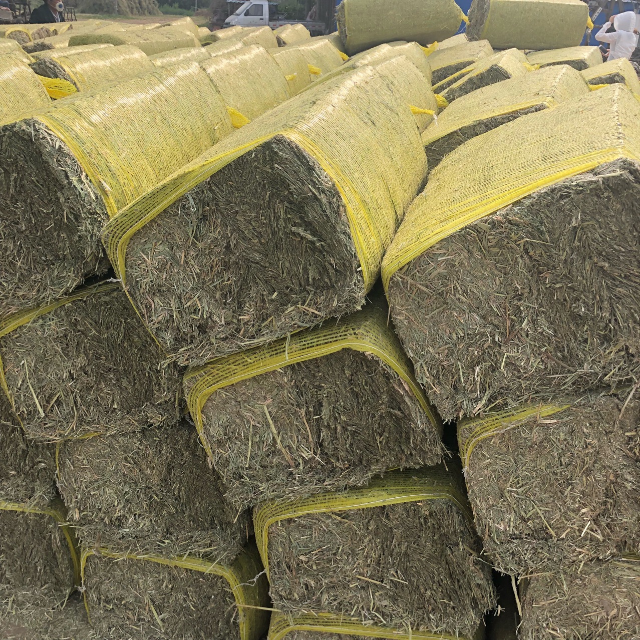 2018年青干草现货牛马羊饲料新草打包截断揉丝