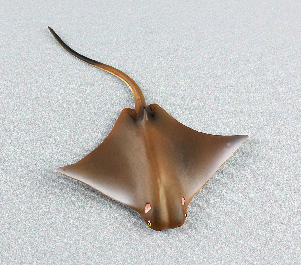 海洋生物模型小魔鬼鱼蝠鲼儿童仿真静态塑胶实心动物玩具外贸货源