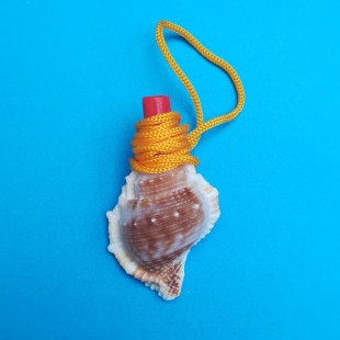 批发天然小海螺哨号角 可吹响海螺口哨 儿童玩具 夜市摆摊