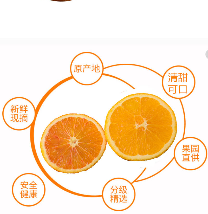 四川特色水果眉山脐橙与塔罗科血橙组合装果园直发5斤装中果
