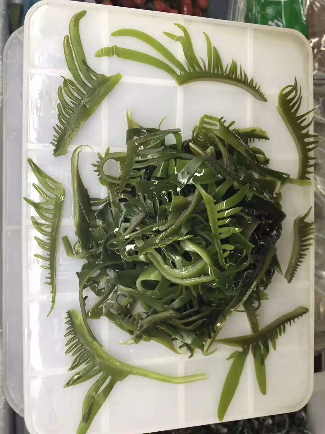 裙带菜芽海芽菜火锅海带苗媚芽菜睫毛菜海白菜 整箱12.5kg