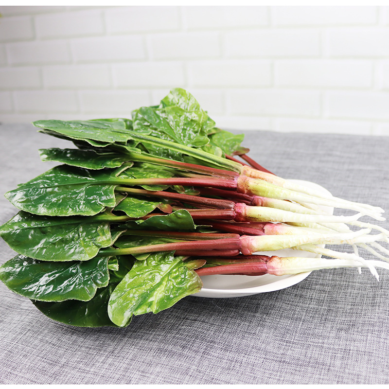 仿真蔬菜 假蔬菜模型叶菜假波菜 仿真波菜菜橱柜家居展示装饰道具