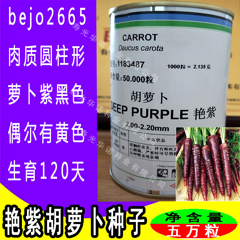 荷兰bejo进口艳紫胡萝卜种子紫人参七寸胡萝卜种子春秋紫萝卜种籽-阿