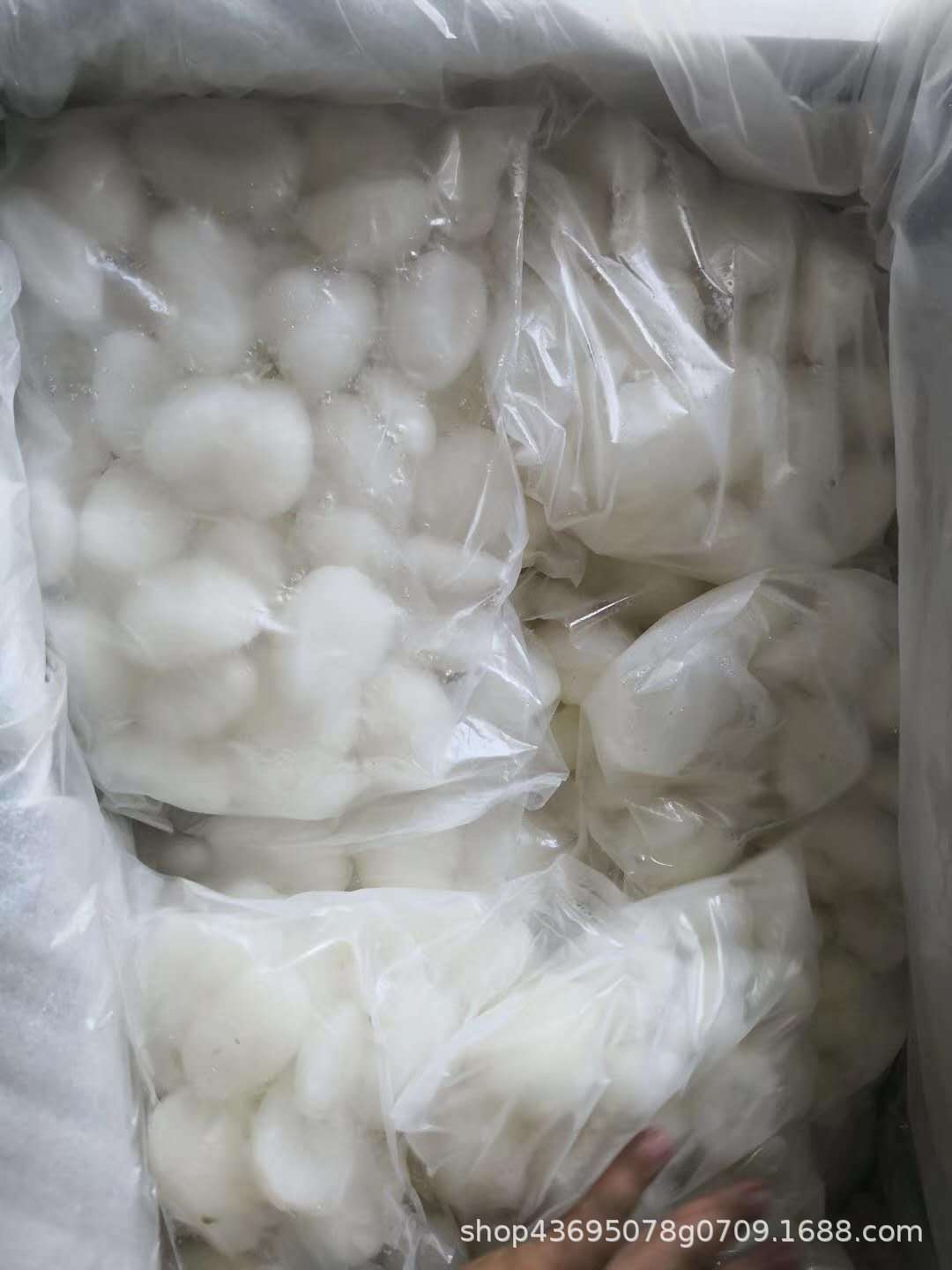 泰国泰式海底椰 新鲜冰冻海底椰 海椰子煲汤小孩 1件12kg 12包