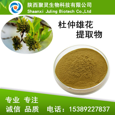 杜仲雄花提取物10:1比例 杜仲浓缩粉 现货包邮 杜仲雄花粉