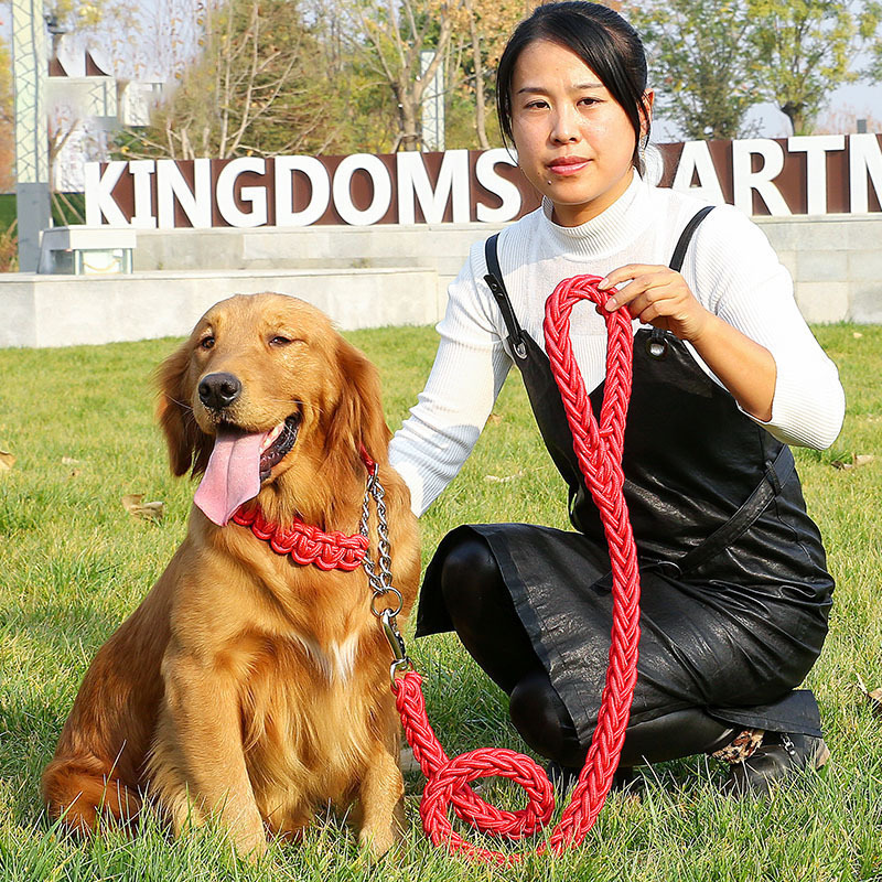 牵狗绳遛狗牵引绳小型犬狗链子中型犬泰迪宠物项圈幼犬狗狗胸背带