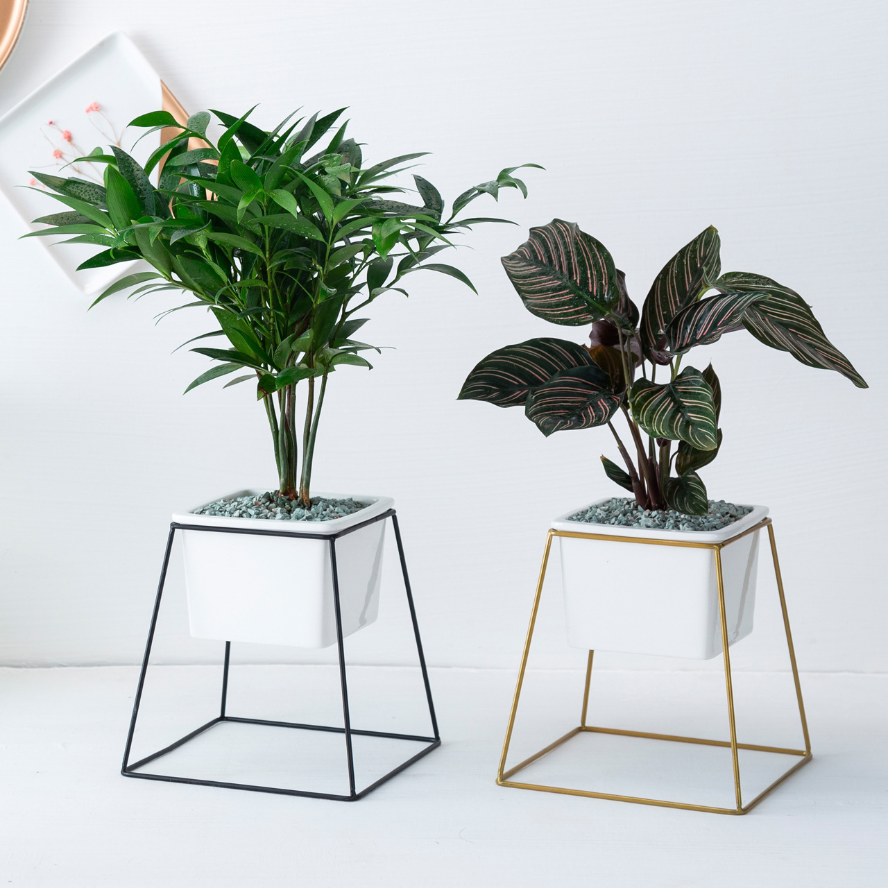 北欧简约铁艺陶瓷四方梯形多肉花盆花架 ins绿植绿菠植物花器