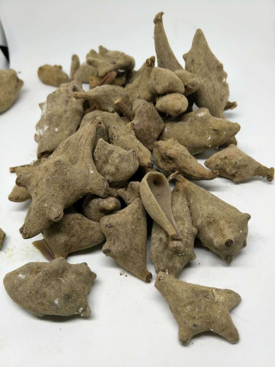 飒枫 五倍子 冷背奇药材 五倍子粗细粉免费加工 大货从优