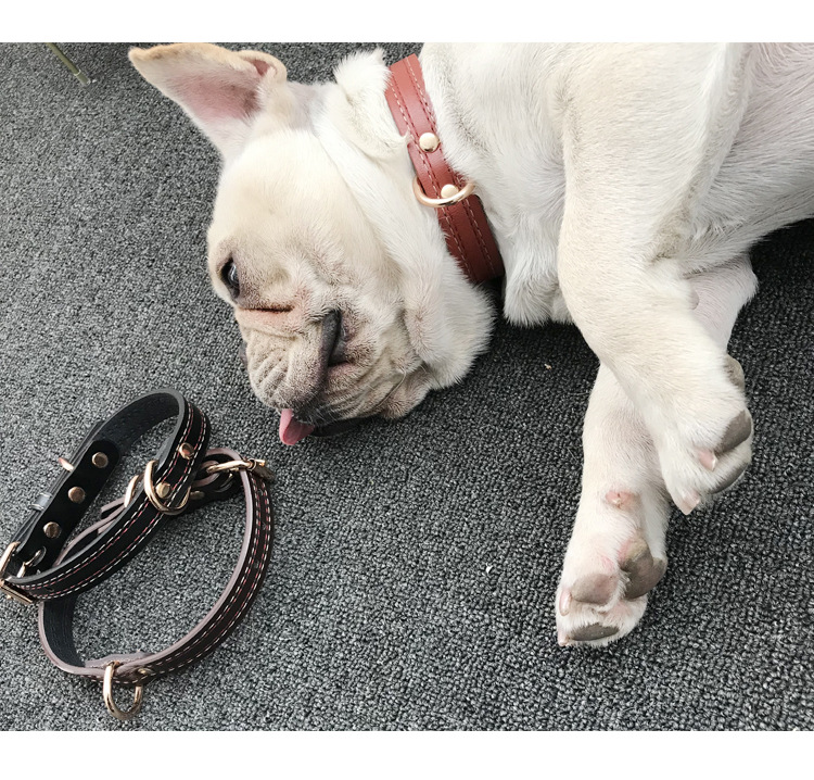 新款宠物项圈狗狗脖圈防咬猫颈圈泰迪柯基恶霸狗颈圈小型犬狗项圈