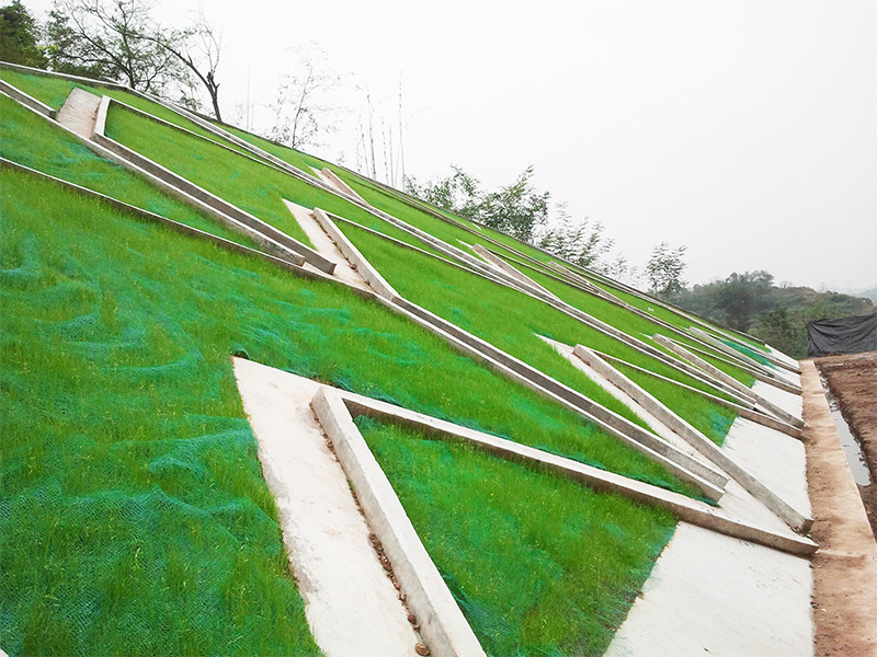 厂家直销三维土工网垫 塑料三维植被网价格 三维植被网护坡绿化