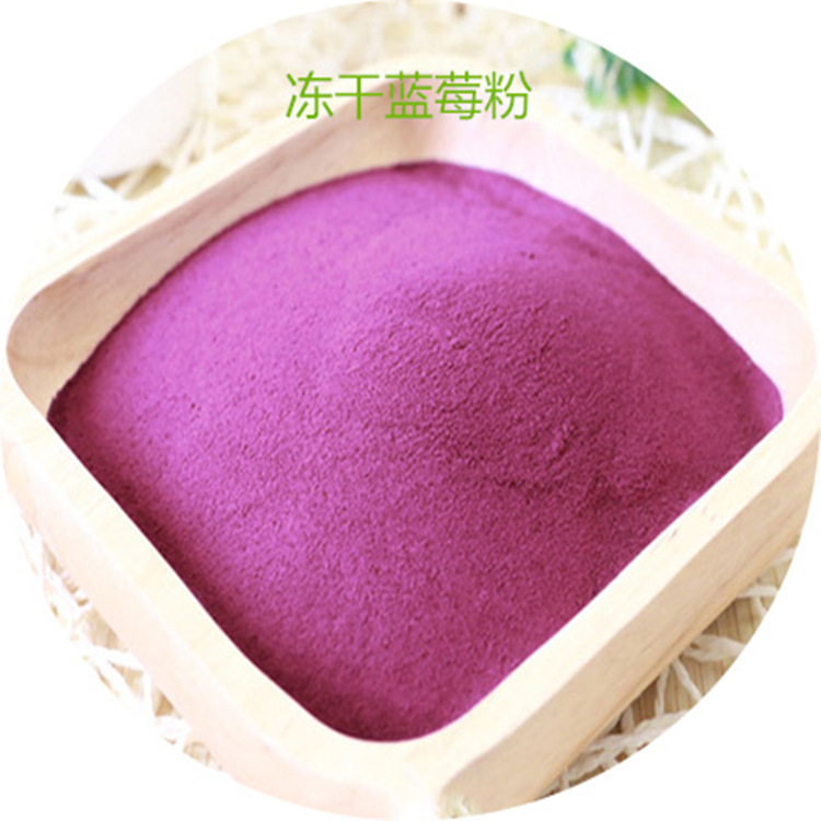 纯天然fd蓝莓冻干粉丰富花青素蓝莓提取物酵素粉