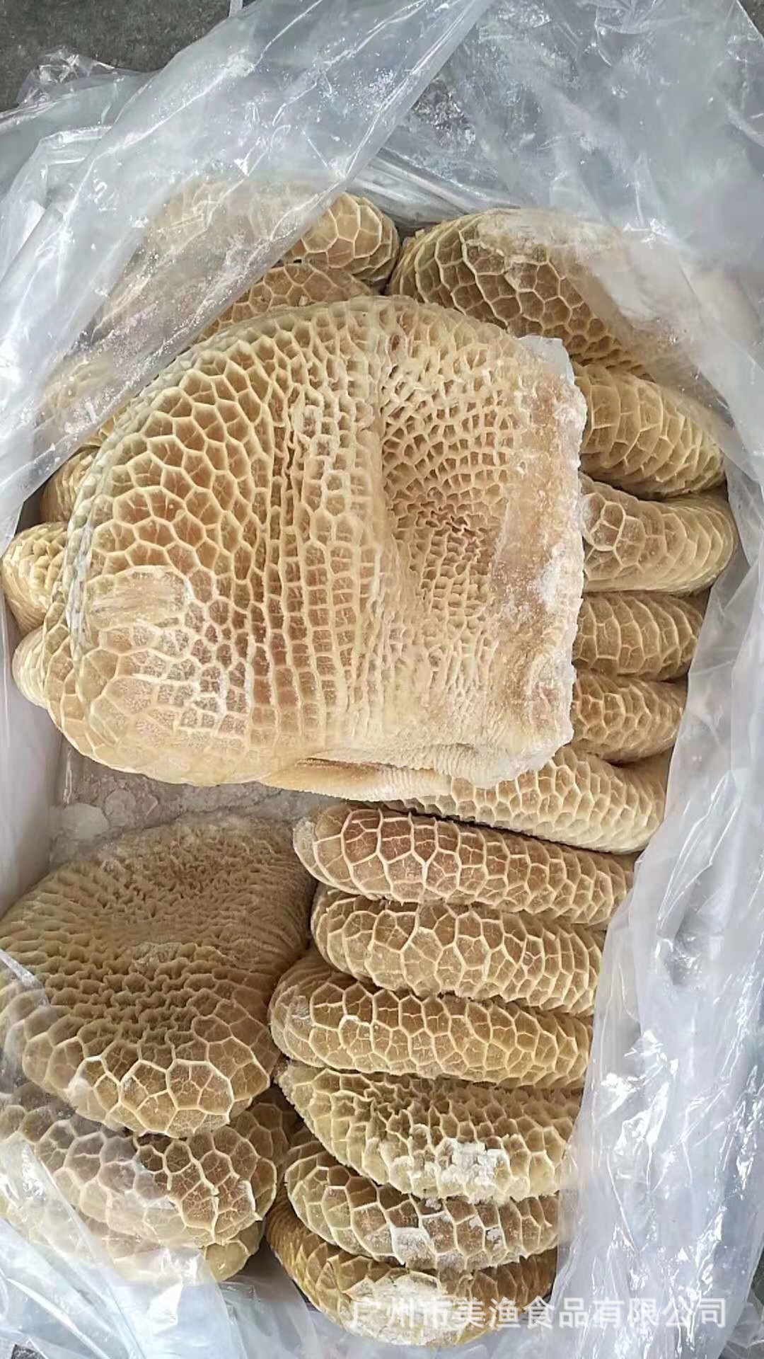 金钱肚 蜂窝肚 抄码 冻品金钱肚 牛肚 牛杂蜂窝牛肚 食材 20kg/件