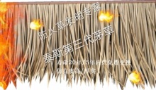 稻草树