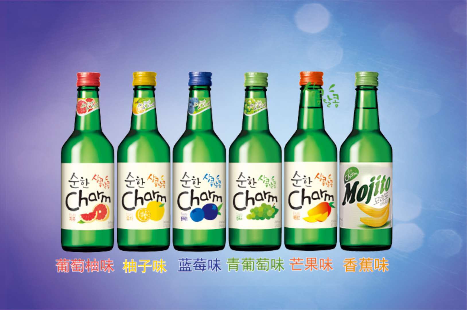 韩国原装超水配制酒果味烧酒360ml 蓝莓葡萄柚子芒果香蕉味酒