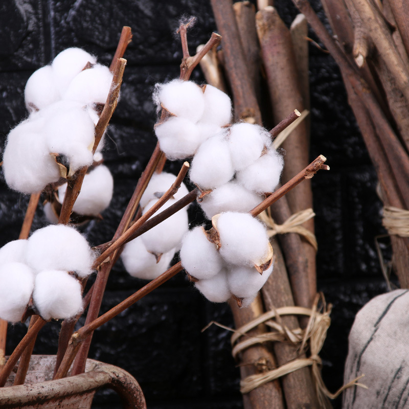 厂家直销仿真棉花客厅装饰插花拍摄道具纯手工棉花真杆棉花永生花