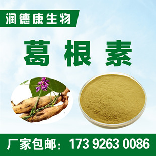 葛根素98% 葛根提取物 葛根黄酮 厂家包邮 葛根素98%