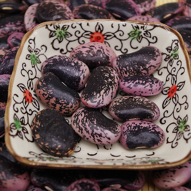 雪山大花黑芸豆/牛眼豆 大花豆大黑芸豆500g 有大量现货厂家直销