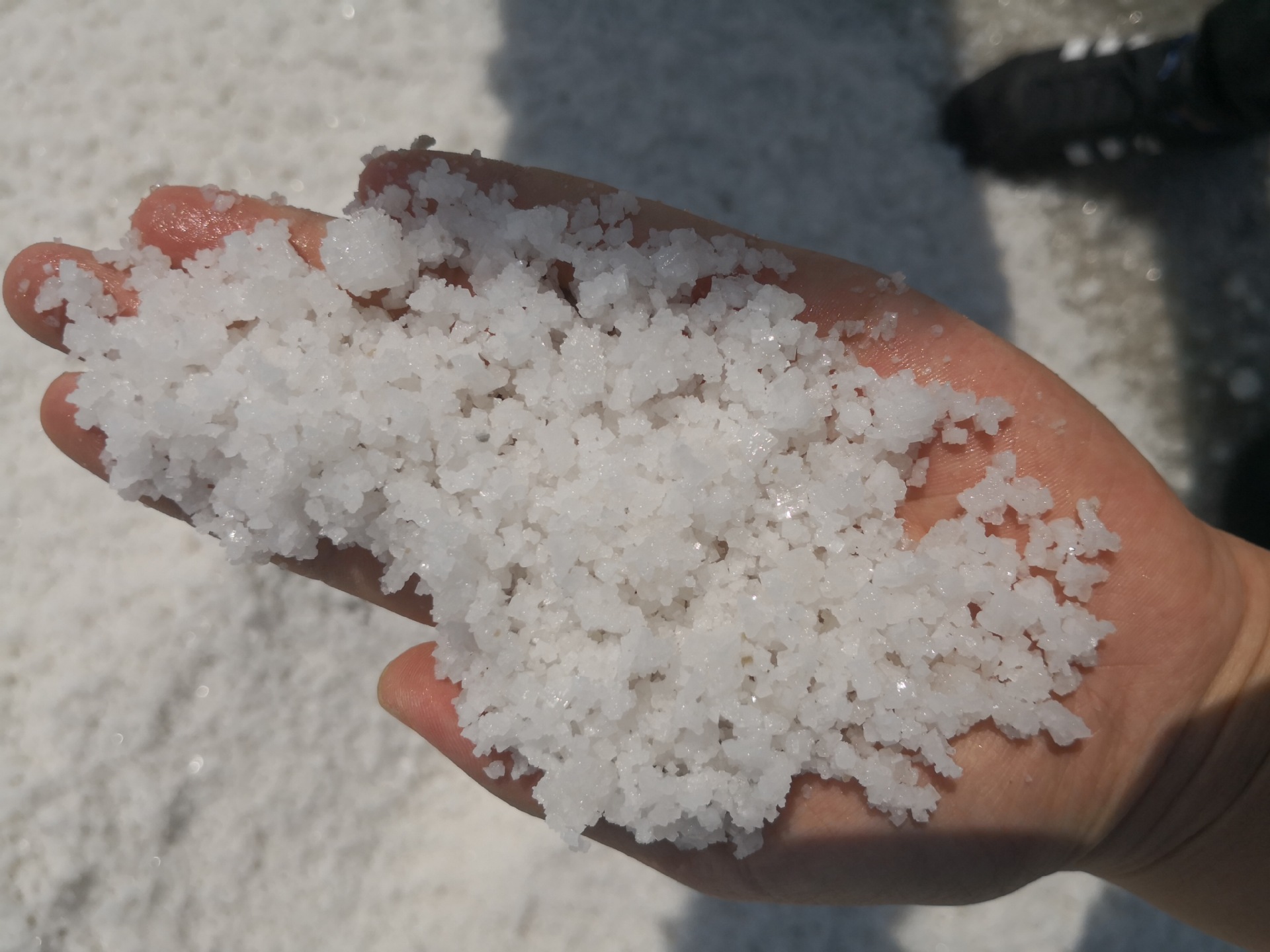 厂家出售日晒盐 颗粒日晒工业盐 锅炉水处理用海盐量大优惠