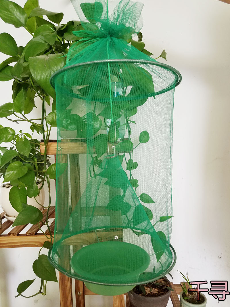 扎口折叠式悬挂捕蝇笼苍蝇笼系带环保捕蝇器灭蝇器