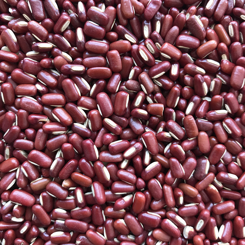 农家自种赤小豆 红竹豆 小赤豆 小米豆 适用于炖汤 药物原料批发
