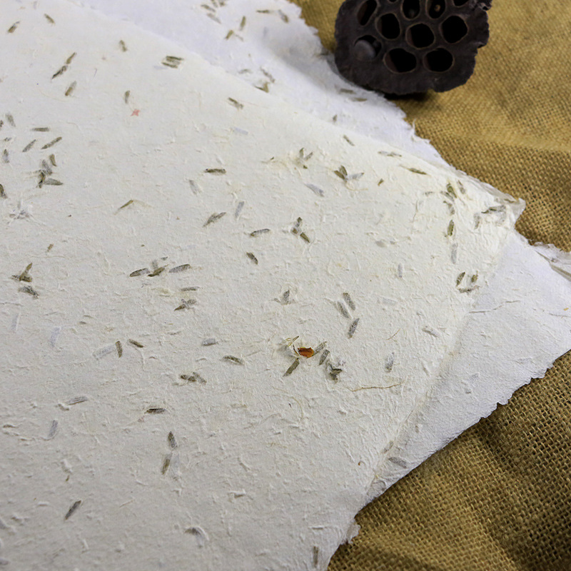 花瓣宣纸纯手工天然夹花纸花草艺术礼品包装纸书皮纸狼毒草古藏纸 - 