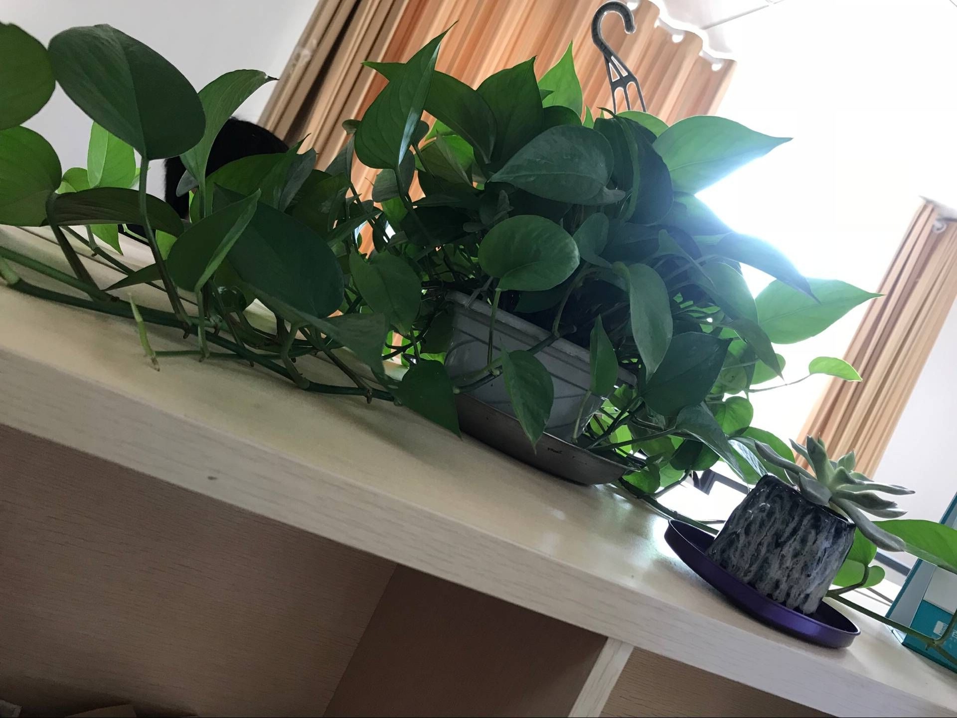 办公桌上的一角