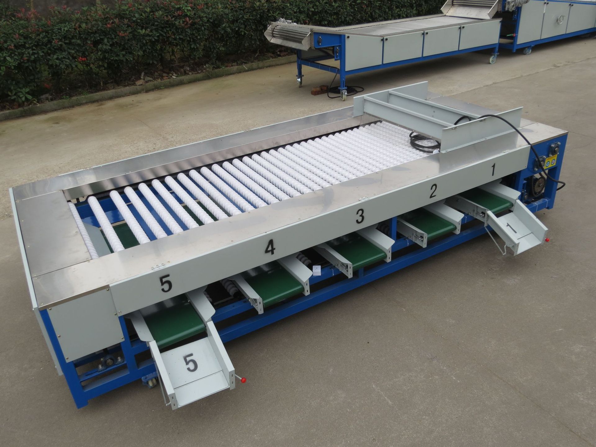 带枝带叶沙糖桔分级机 分选机螺旋式 滚杠选果机