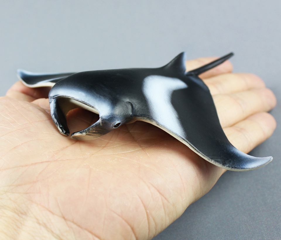 海洋生物模型魔鬼鱼蝠鲼儿童仿真静态塑胶实心动物玩具外贸货源