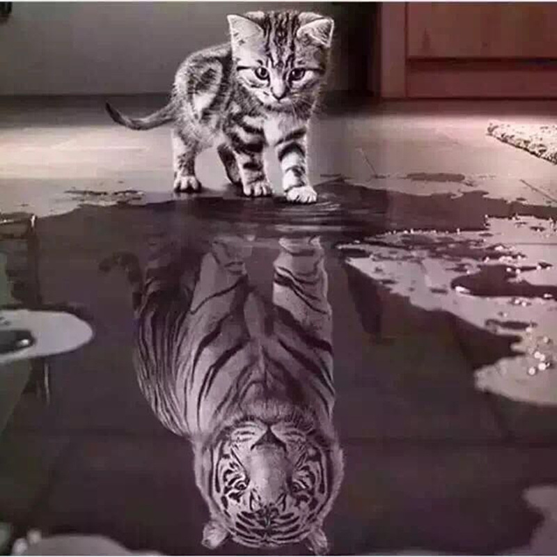 创意5diy满钻石画猫虎倒影家居装饰画工艺品外贸跨境爆款一件代发